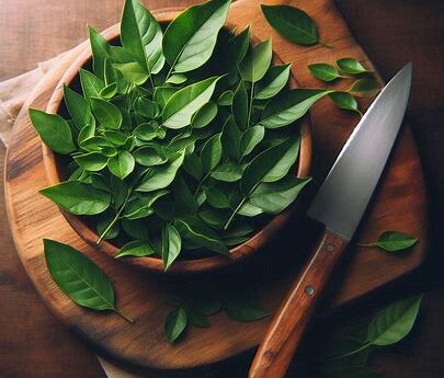 thegreendrugstore - Curry Leaves