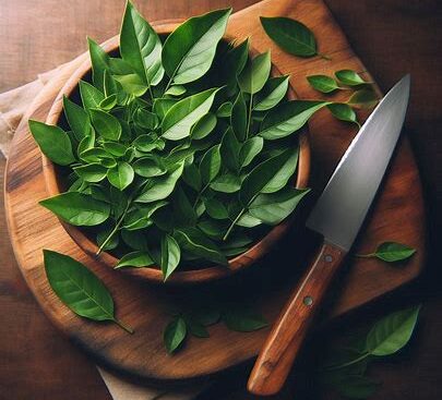 thegreendrugstore - Curry Leaves